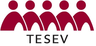 (c) Tesev.org.tr